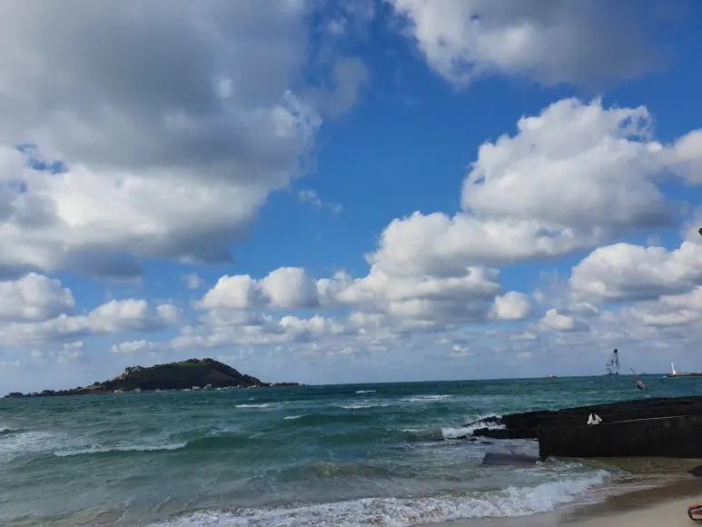 2.jpg?type=w773&jopt=2