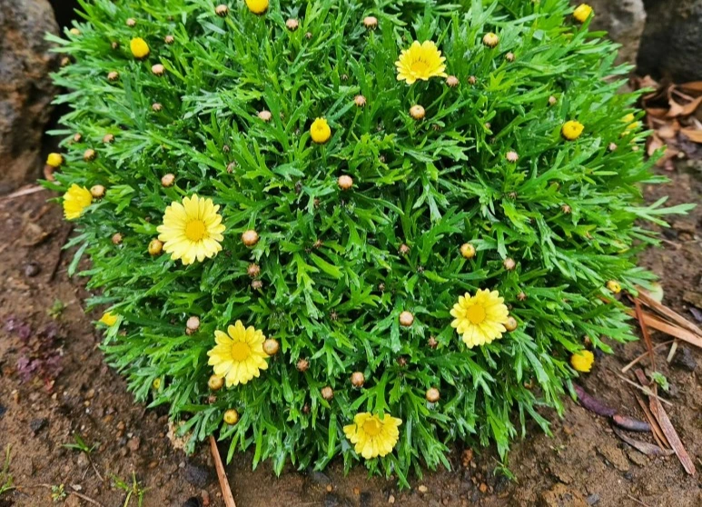 KakaoTalk_20240309_070737111_03.jpg?type=w773