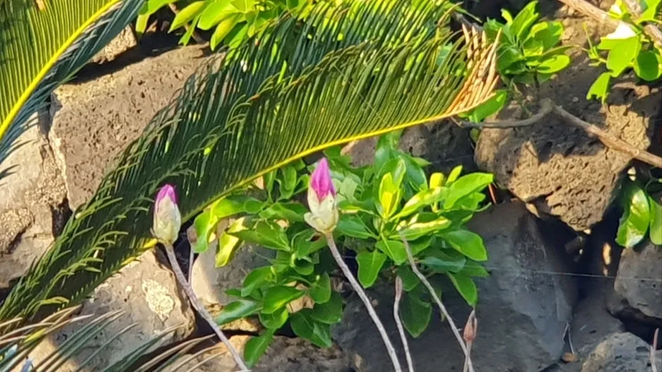 KakaoTalk_20250426_065343709_05.jpg?type=w1