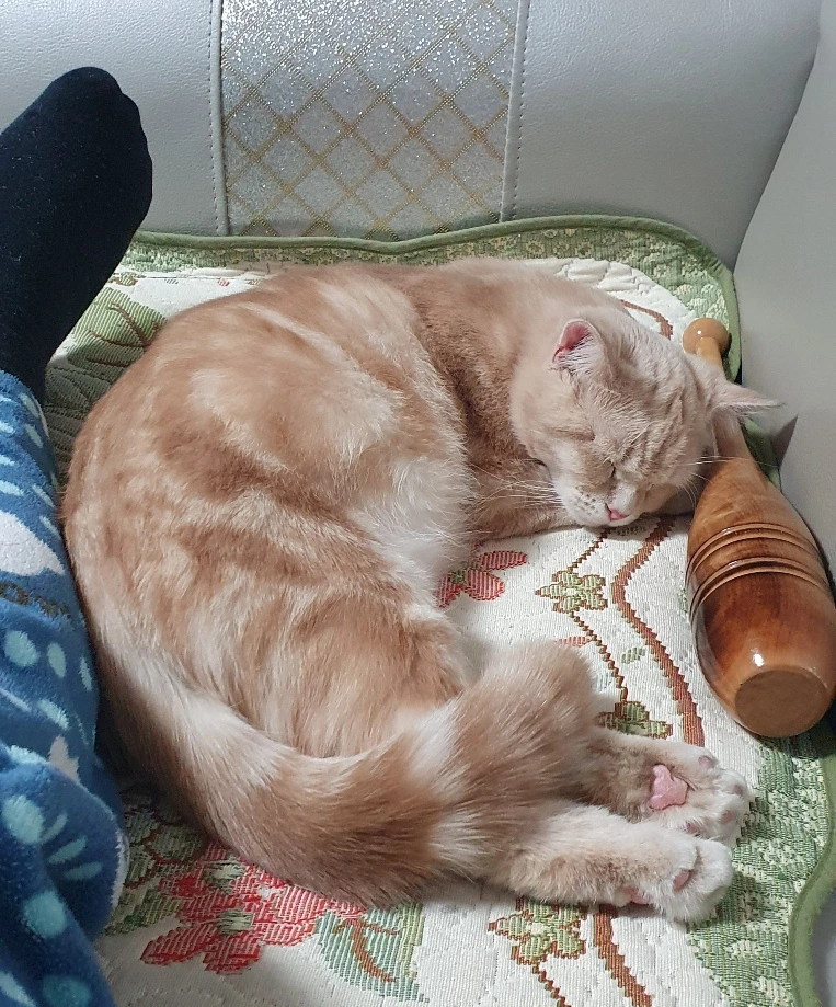 SE-4e13baf0-702b-46a6-9ac4-0db0d8763e9e.jpg?type=w773