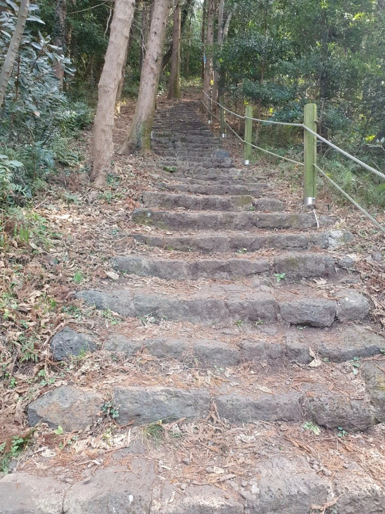 KakaoTalk_20240110_073025356.jpg?type=w773