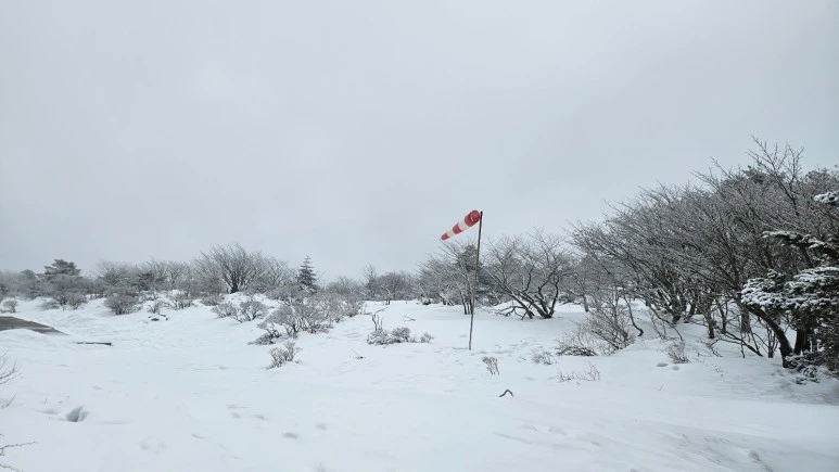 KakaoTalk_20240104_063103958.jpg?type=w773