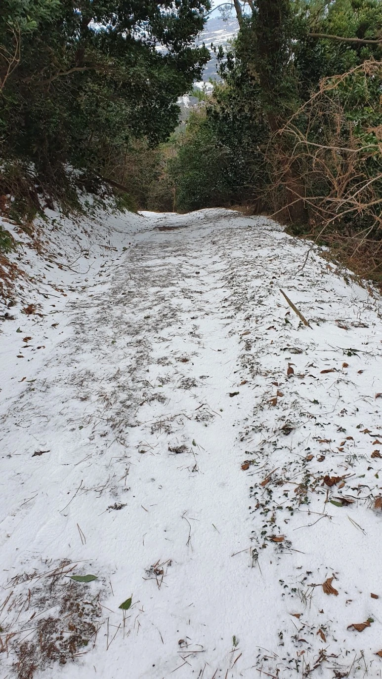 KakaoTalk_20240126_062454874_11.jpg?type=w773