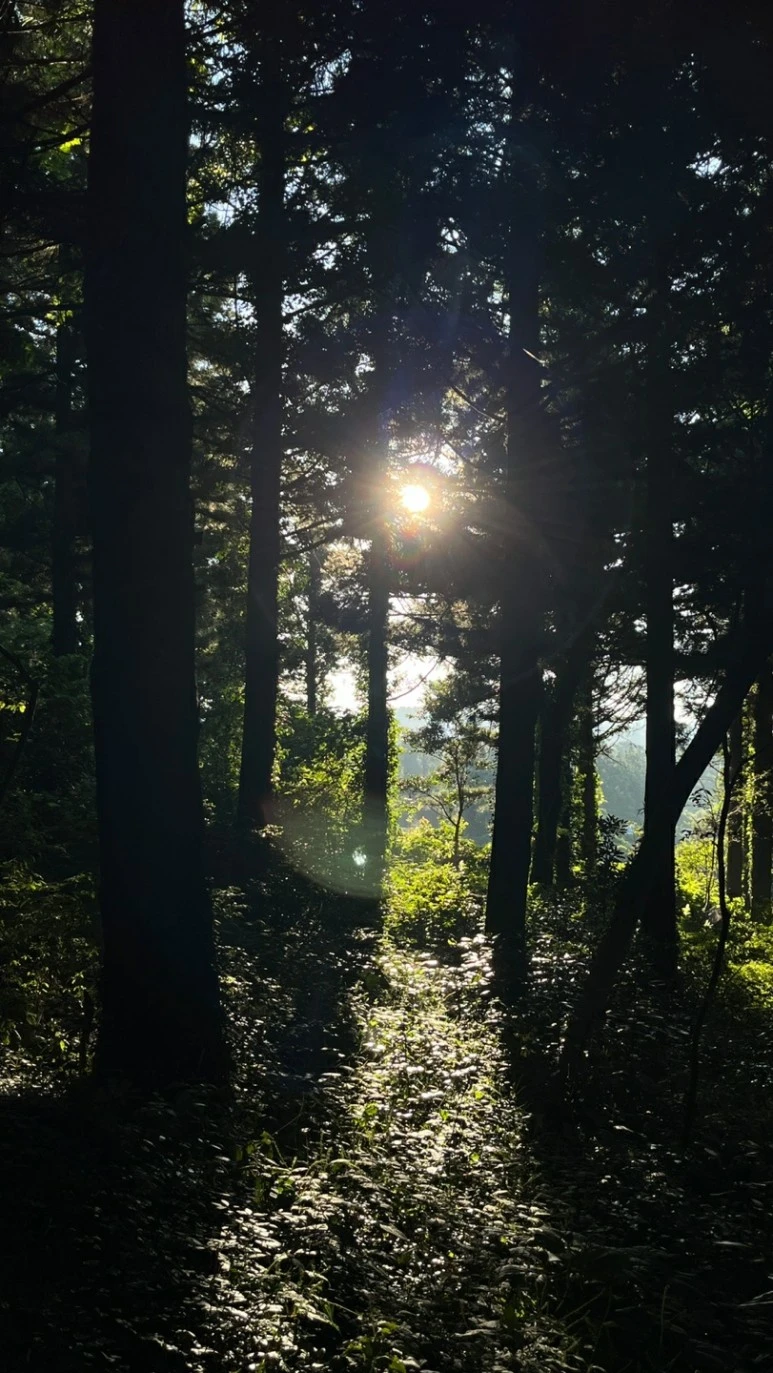 KakaoTalk_20231207_084522552.jpg?type=w773