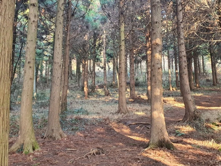 KakaoTalk_20231231_195842027.jpg?type=w773