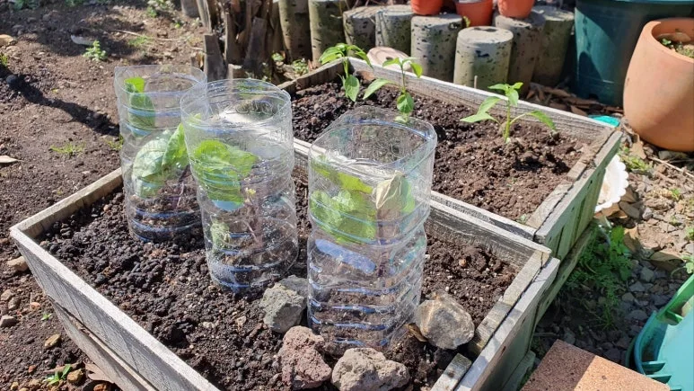 KakaoTalk_20250410_055731064_05.jpg?type=w773