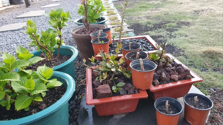 KakaoTalk_20250410_055731064_04.jpg?type=w773