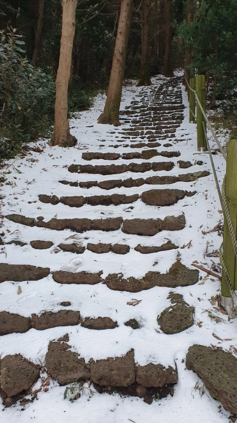 KakaoTalk_20240126_062454874_02.jpg?type=w773