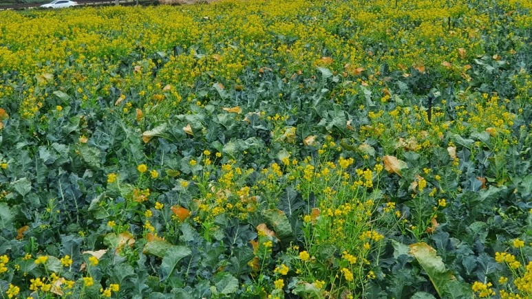 KakaoTalk_20240122_095828427_01.jpg?type=w773