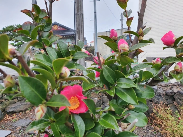 KakaoTalk_20231215_105250706.jpg?type=w773