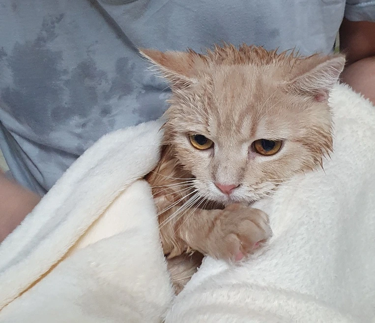 SE-edb4ed10-5009-44f6-86eb-2f106631b756.jpg?type=w773