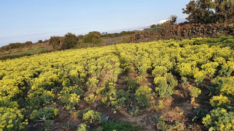 KakaoTalk_20240309_070759237_01.jpg?type=w773