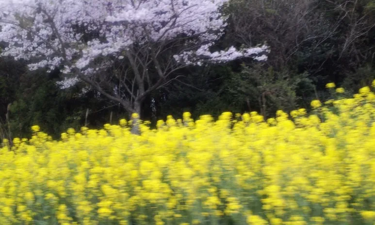 KakaoTalk_20250327_192636395.jpg?type=w773