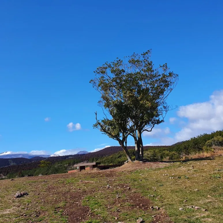 KakaoTalk_20240327_074052977.jpg?type=w773&jopt=2