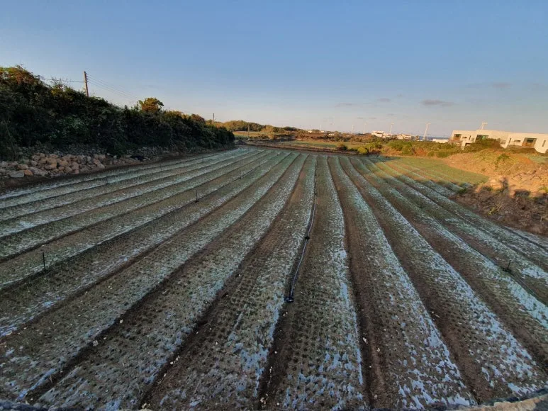 KakaoTalk_20240327_073903539.jpg?type=w773&jopt=2