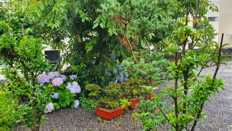 KakaoTalk_20240624_064329550_04.jpg?type=w773