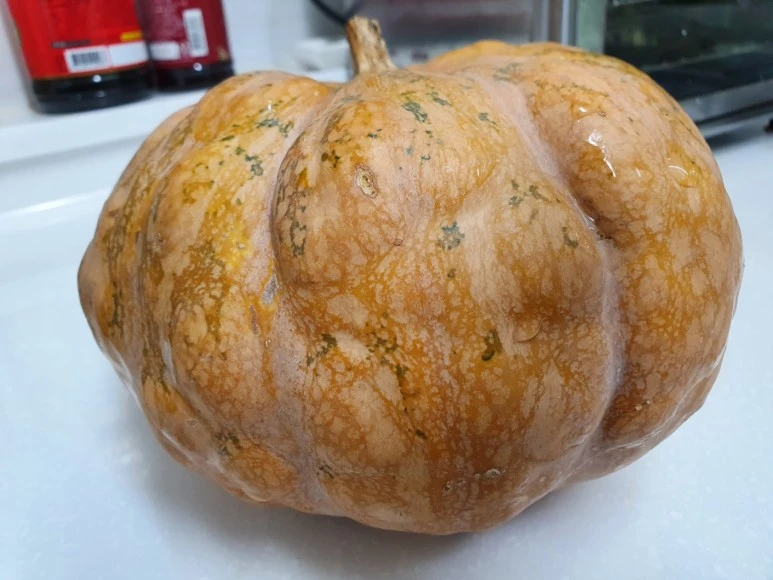 KakaoTalk_20231216_114047589.jpg?type=w773