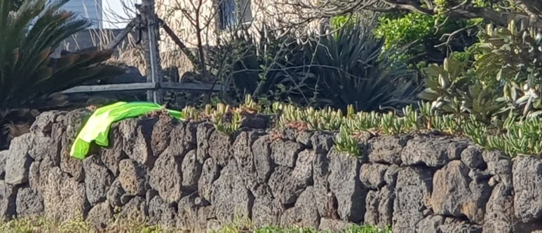 SE-0c7da24e-98e0-41a0-97b5-0f462128379d.jpg?type=w773