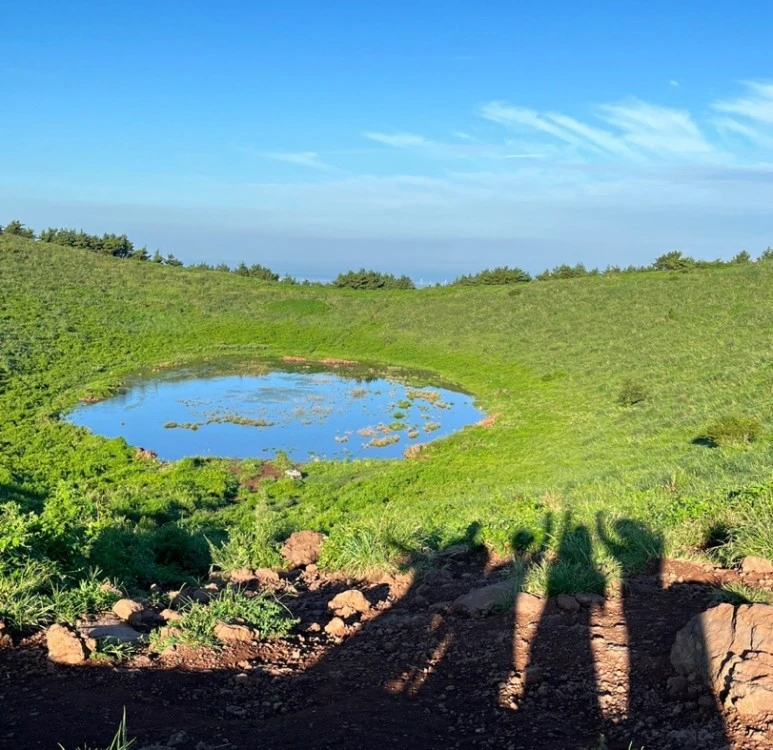 SE-38d50e31-d8fa-400d-8da9-0730df1fa4e2.jpg?type=w773