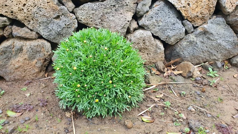 KakaoTalk_20240309_070737111_01.jpg?type=w773