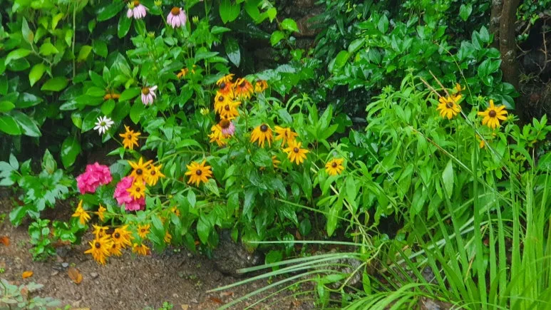 KakaoTalk_20240624_064329550_05.jpg?type=w773