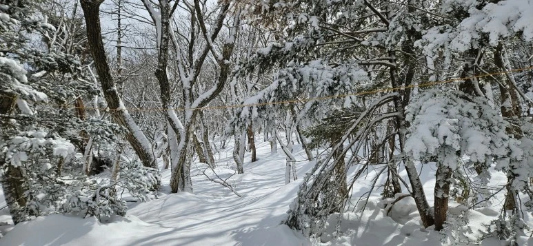 KakaoTalk_20240104_064818646.jpg?type=w773