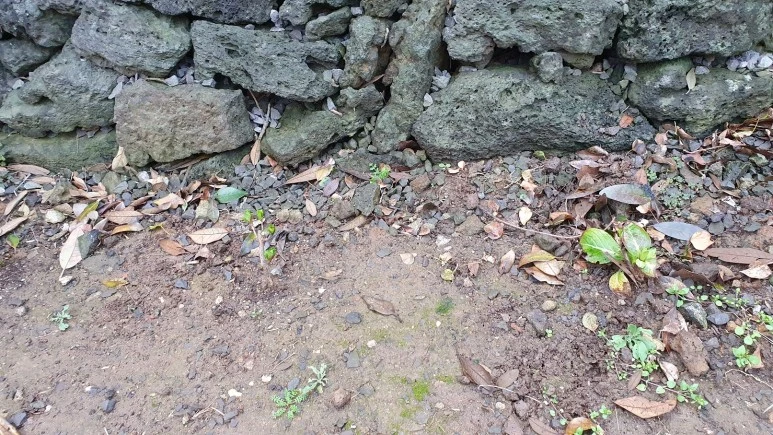 KakaoTalk_20240225_074728988_09.jpg?type=w773