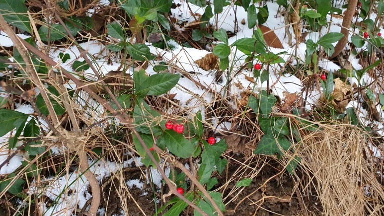 KakaoTalk_20240126_062454874_10.jpg?type=w773