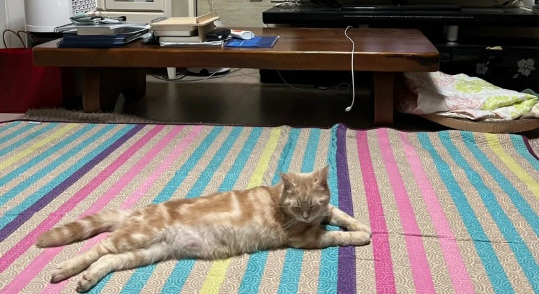 SE-97032ee5-3f29-4fb2-86a0-e460b97c4e0c.jpg?type=w773