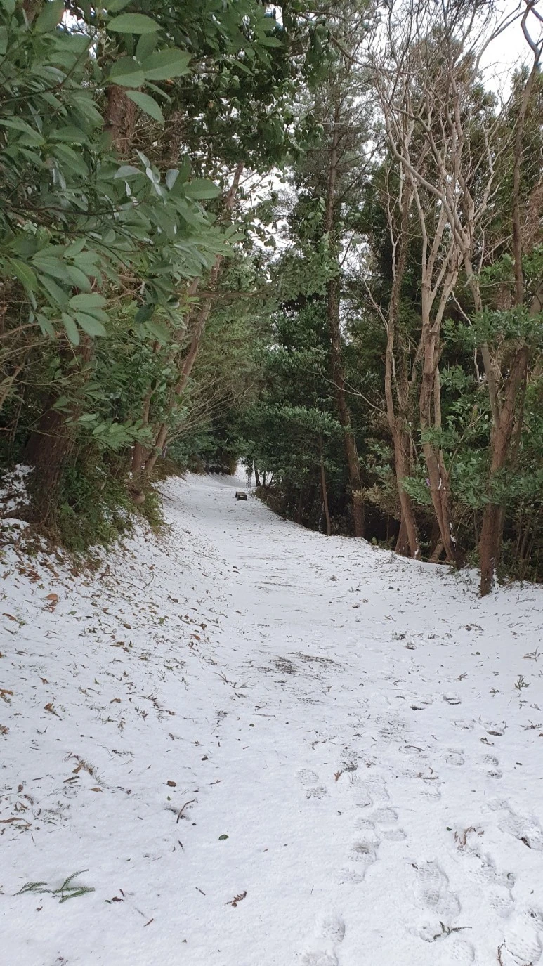 KakaoTalk_20240126_062454874.jpg?type=w773