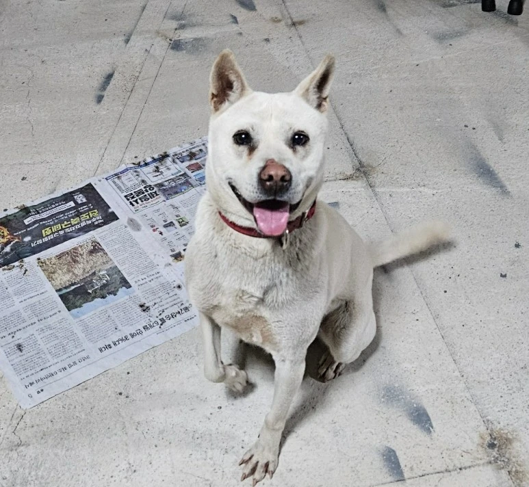 SE-8b862355-70b4-432b-9789-11f28de89145.jpg?type=w773