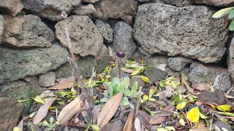 KakaoTalk_20240225_074728988_15.jpg?type=w773