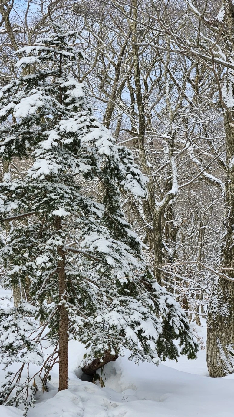 KakaoTalk_20240104_063130481.jpg?type=w773