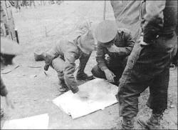 5618125.jpg?type=m250&wm=N