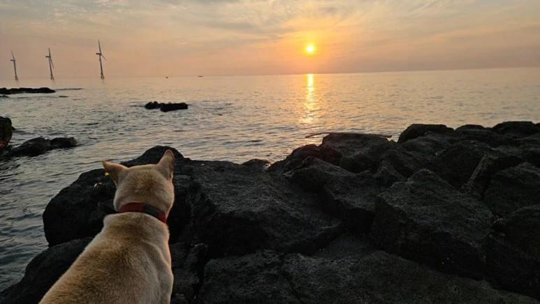 KakaoTalk_20231221_225735483.jpg?type=w773