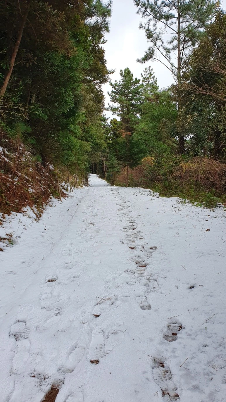 KakaoTalk_20240126_062454874_06.jpg?type=w773