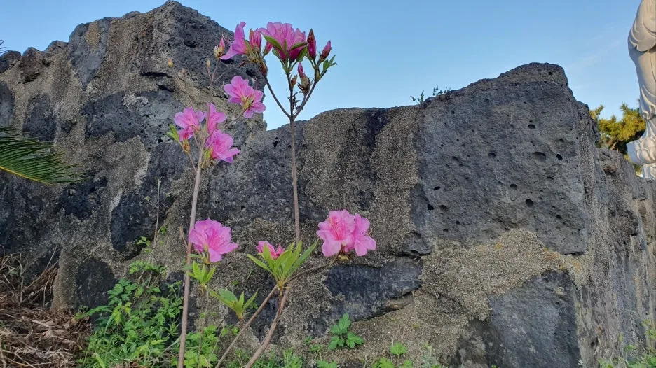 KakaoTalk_20250426_065343709_03.jpg?type=w1