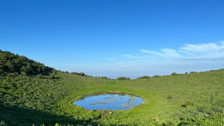 KakaoTalk_20231221_225625563.jpg?type=w773&jopt=2