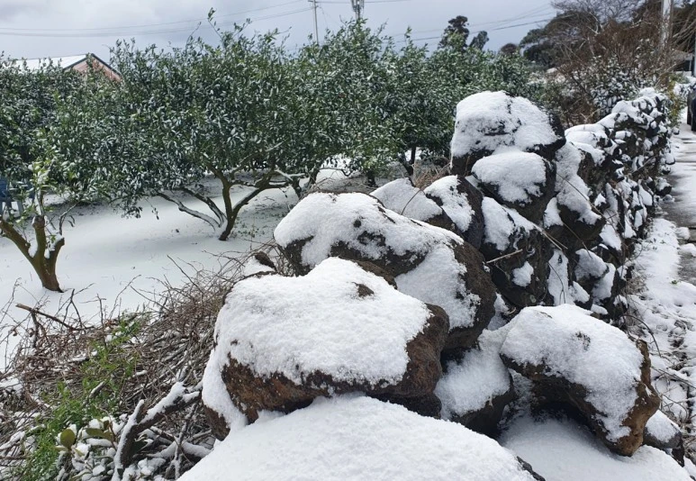 SE-60846007-9b63-41c5-bbc9-148a9e499c9e.jpg?type=w773