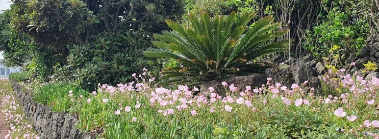 SE-8d690435-9945-45d9-8d9f-1ebe1871ea9e.jpg?type=w773