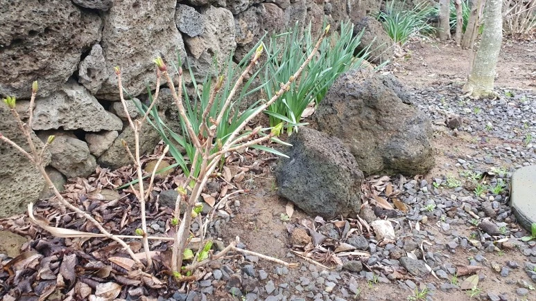 KakaoTalk_20240225_074728988_19.jpg?type=w773