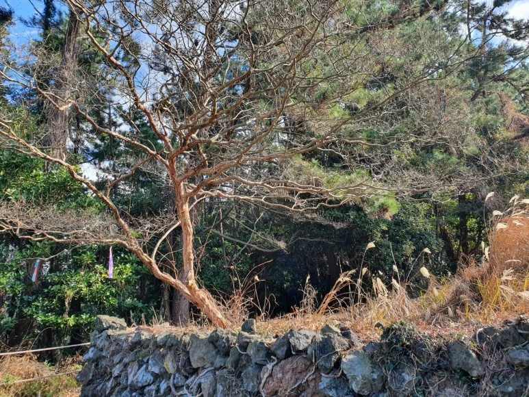 KakaoTalk_20240110_072942637.jpg?type=w773