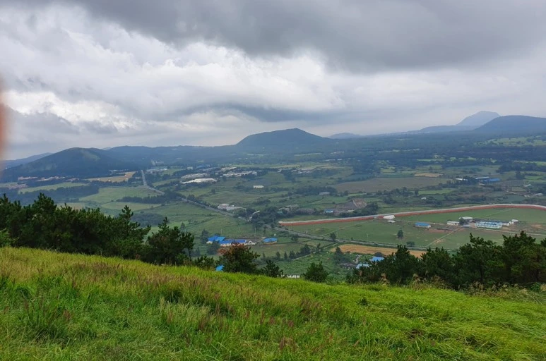 SE-aae623e3-e496-4b71-9303-675e31d79fda.jpg?type=w773