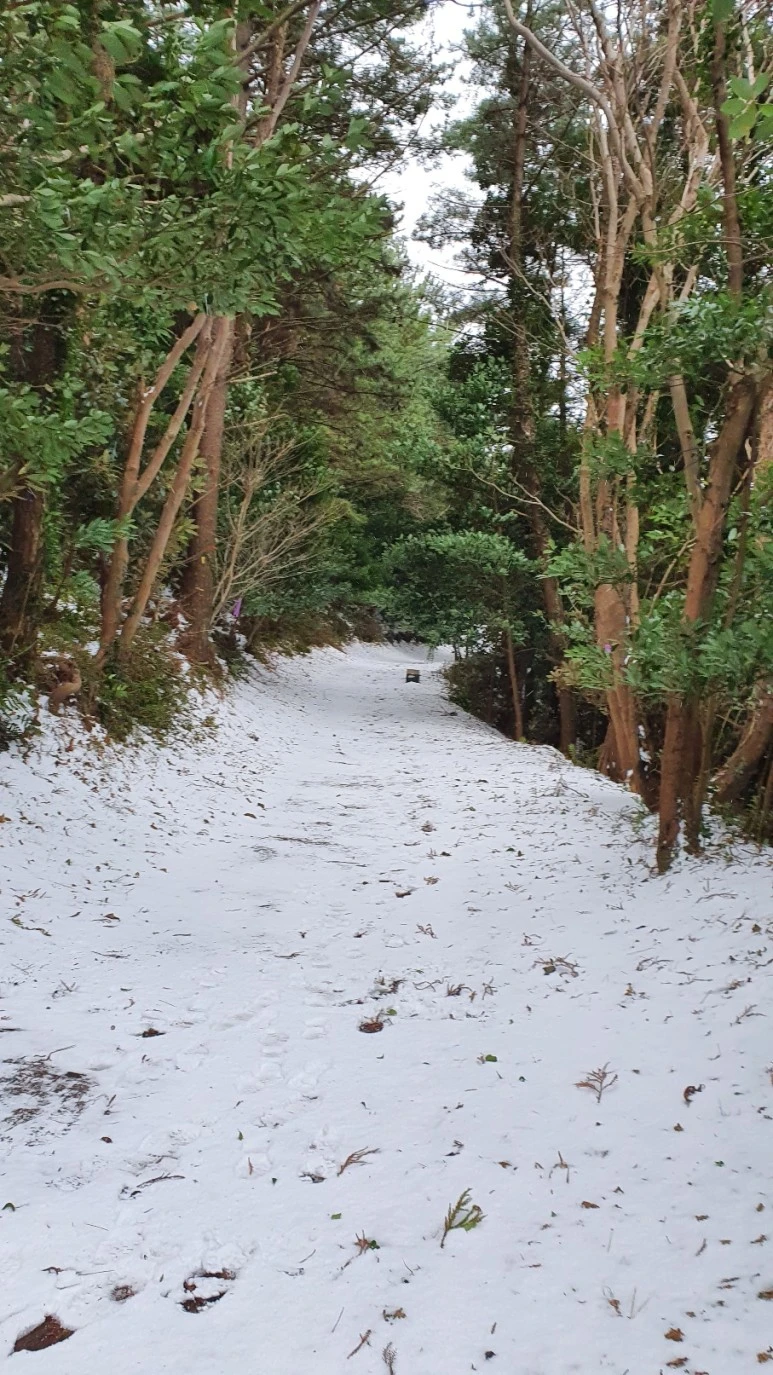 KakaoTalk_20240126_062454874_01.jpg?type=w773