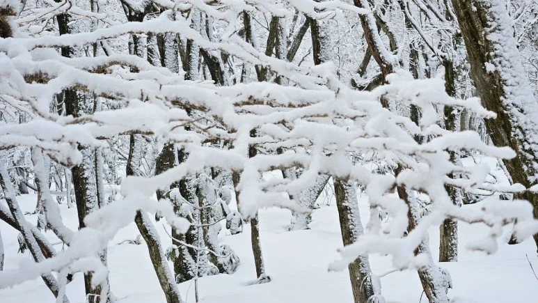 KakaoTalk_20240104_063143714.jpg?type=w773