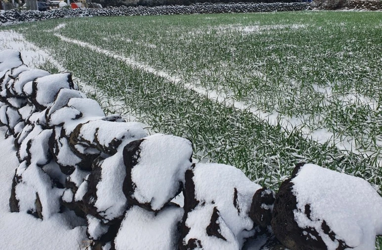 SE-50f122a9-6243-4a04-8afc-7f45b24fe1c3.jpg?type=w773