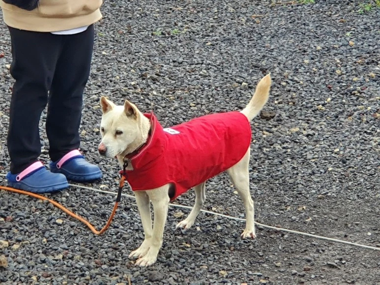 KakaoTalk_20240128_054718088_02.jpg?type=w773