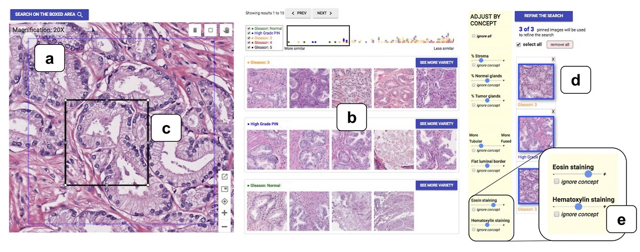 AD_4nXcLulPKz4sn-xUkyAAD2XBlMtteZ-csDrVDaStLTTusk8RiApiTaci-iDdTX9HTj3q8Iktmo4nkpg7th9QFS7RMowGDTyjNkFXueVyYBxFE7ZiAXt9IQ-nlH16vORhzLk5A2OOF?key=ZNcE5mf_OeS00vCAdr8_m7q6