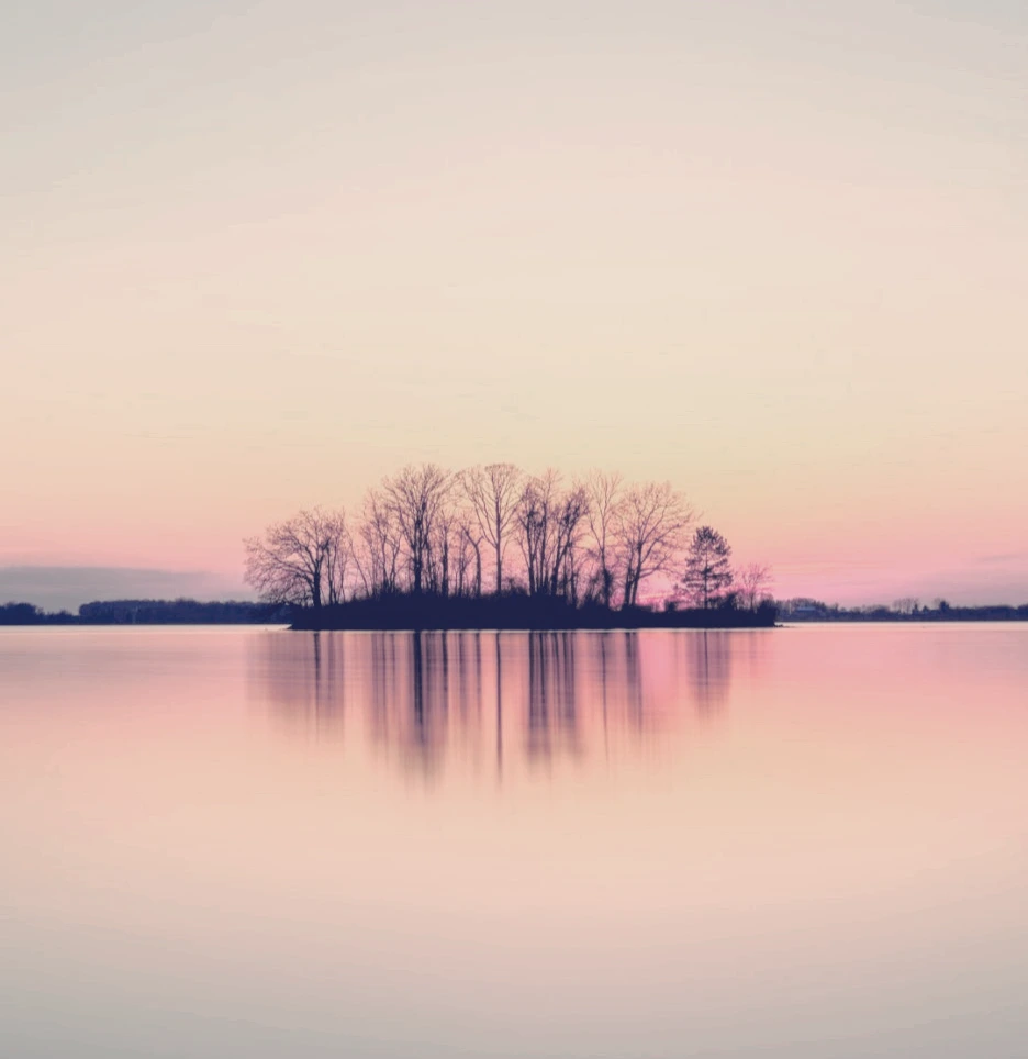 photo-1586348943529-beaae6c28db9.jpg?type=w1