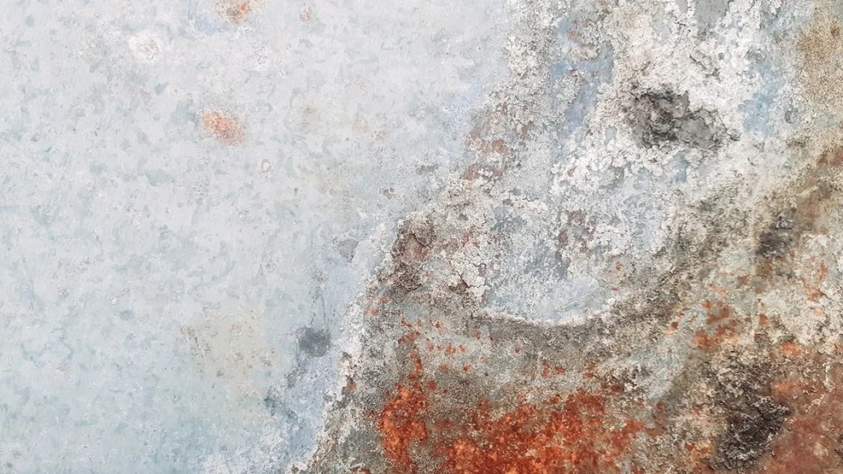 photo-1652116120518-1d86dfb184f5.jpg?type=w1